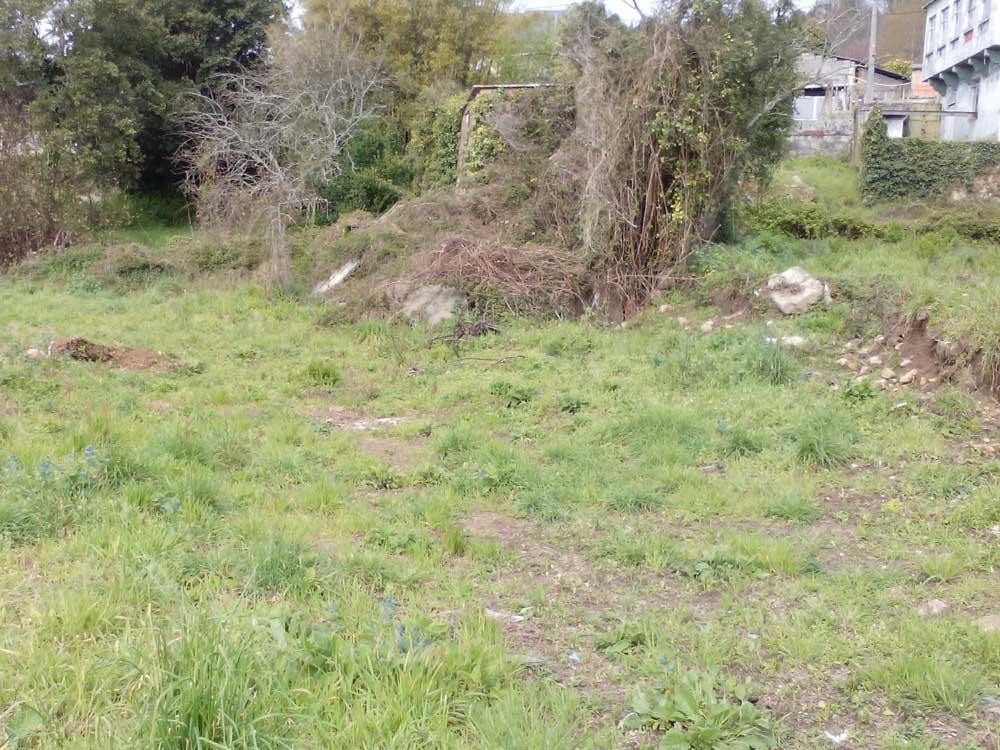 previo-parque-biosaludable-01