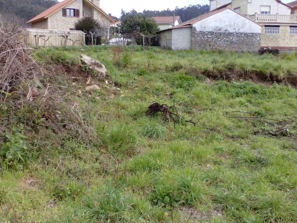 previo-parque-biosaludable-03