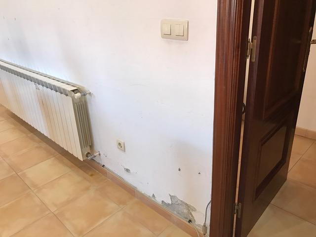 regatino-previo-04