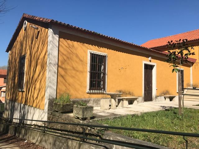 regatino-previo-06