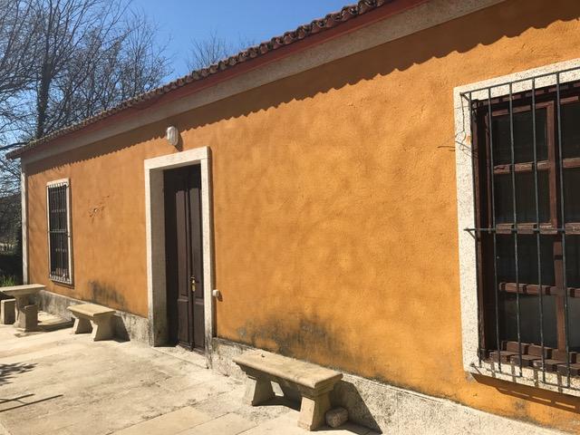 regatino-previo-05