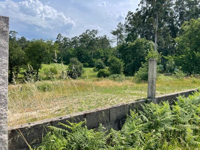 img_2082_centrodediaentorroso_previo