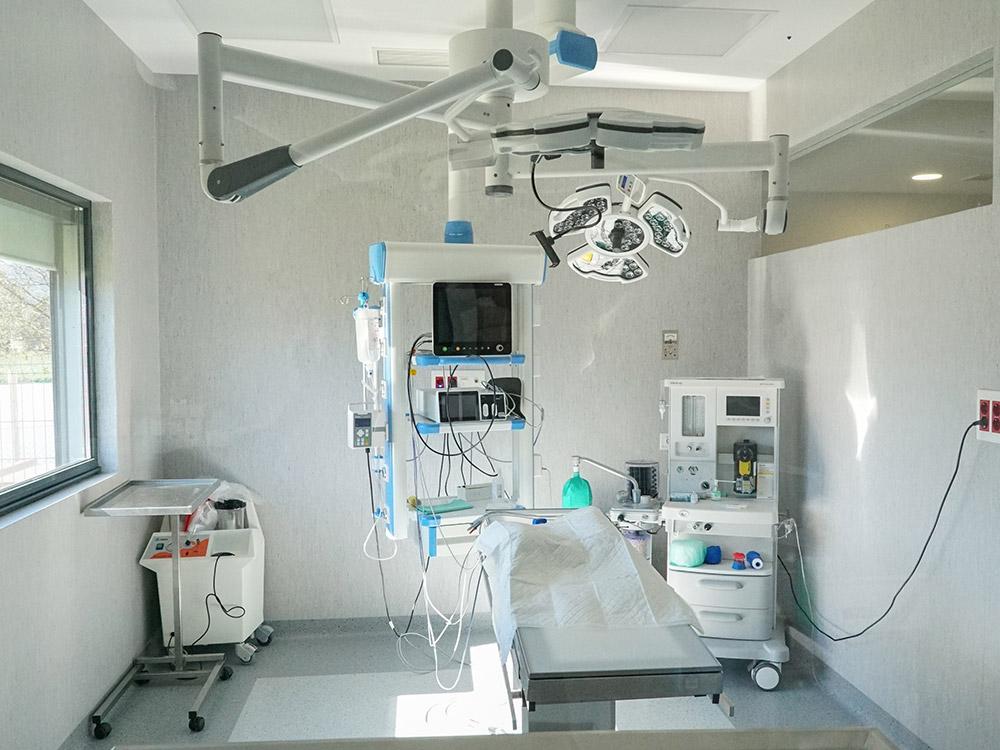 veterinaria_01
