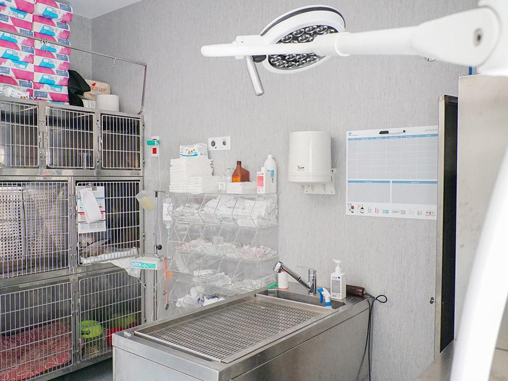 veterinaria_02