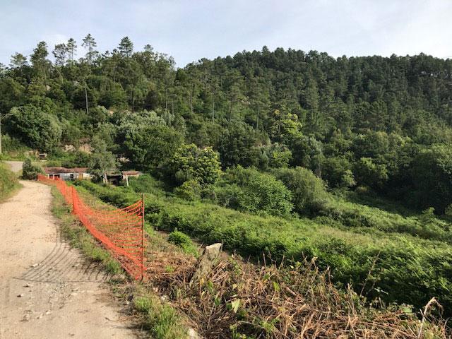 previo-centro-de-montana-03