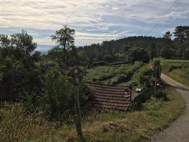 previo-centro-de-montana-05